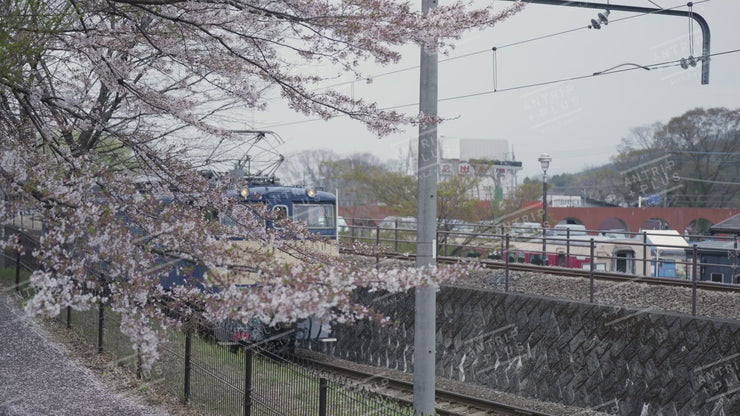 鉄道文化むら（春）No.1